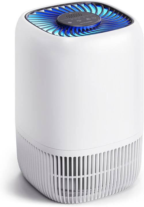 VOOPNU Air Purifier