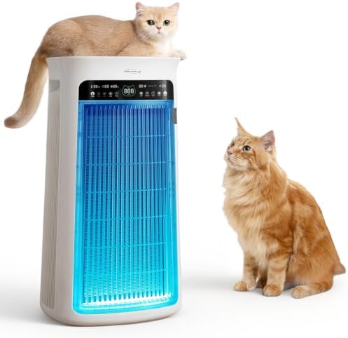 Air Purifier Large Room, True H13 HEPA